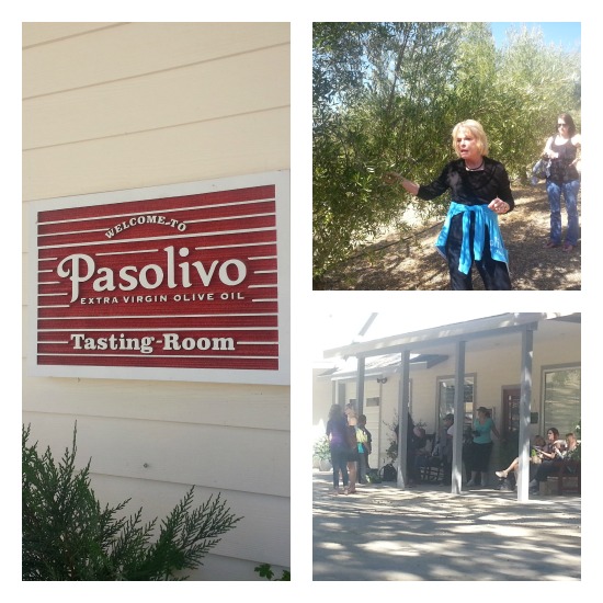 Pasolivo Olive Farm Tour