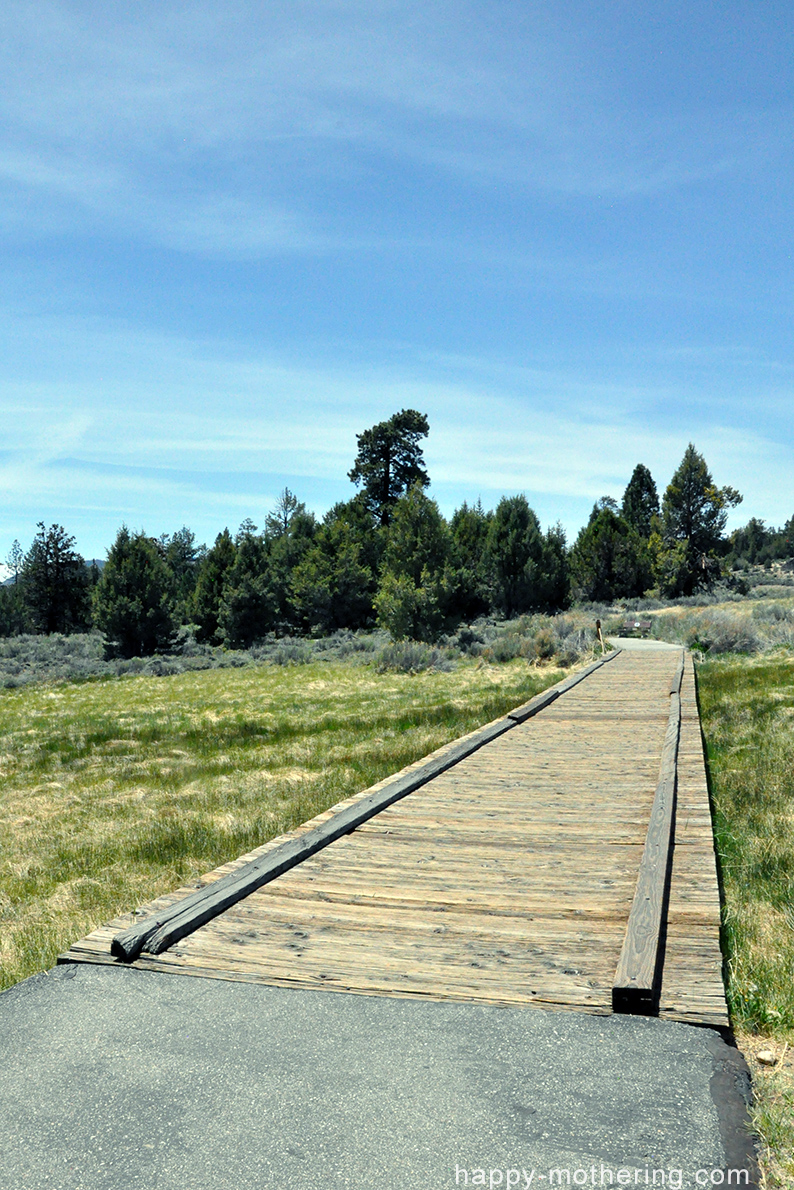 Walking bridge at Alpine Pedal Path in Big Bear Lake, CA