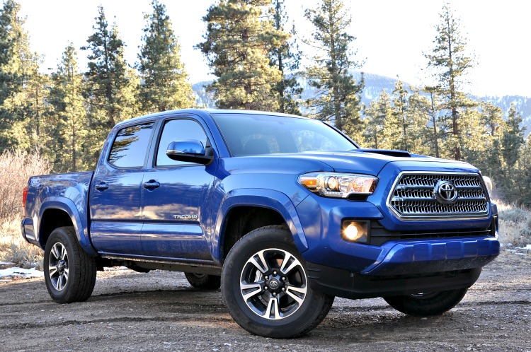 Front angle view of blue Toyota Tacoma in front of the forest