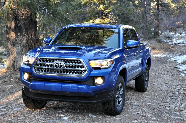 Blue Toyota Tacoma under a tree in Big Bear