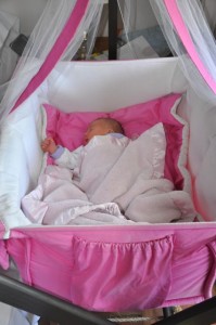 Kaylee's pink bassinet