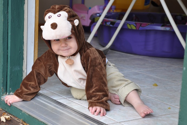 Kaylee as a monkey on Halloween