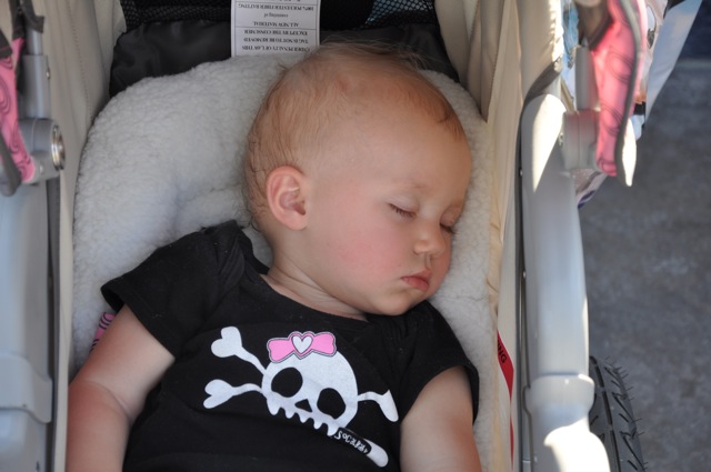 Kaylee Took a 4-Hour Nap at Disneyland!