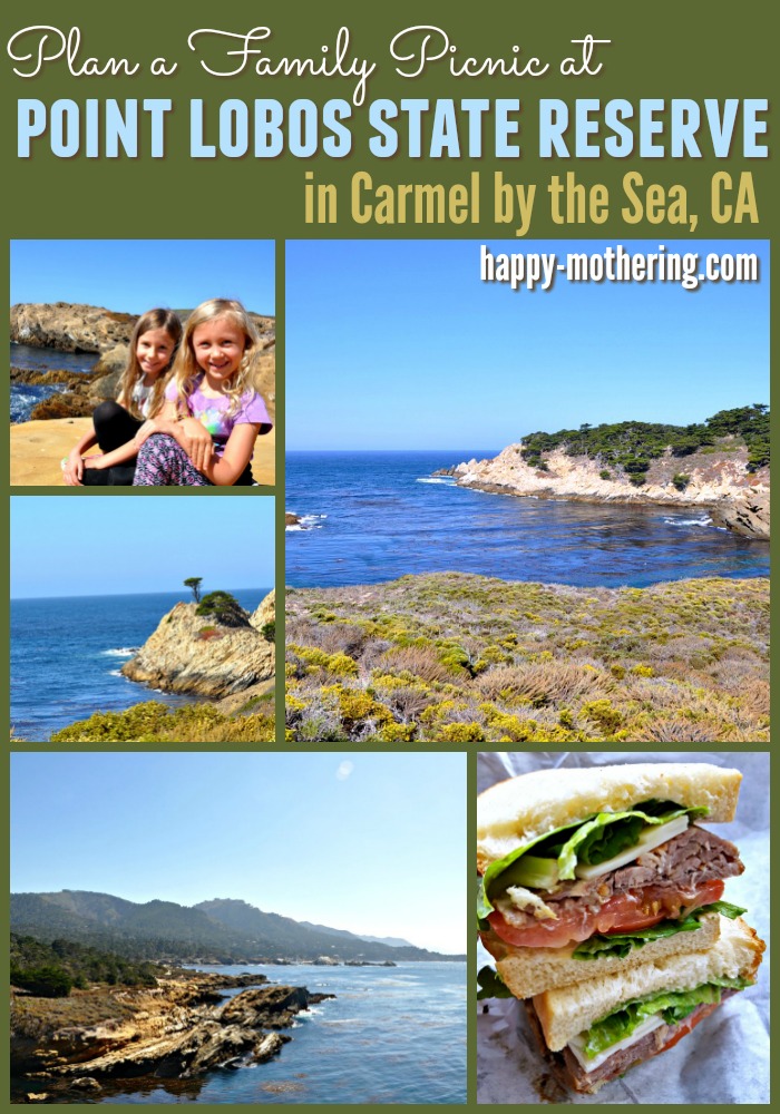 Collage of images from Point Lobos State Park