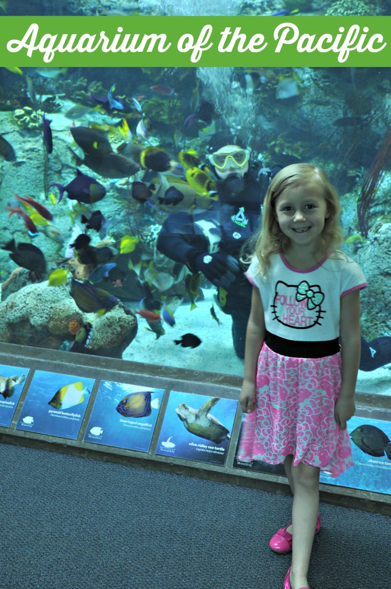 Kaylee in front of a diver in a tank at Aquarium of the Pacific