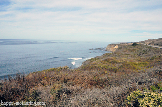 The California Coast