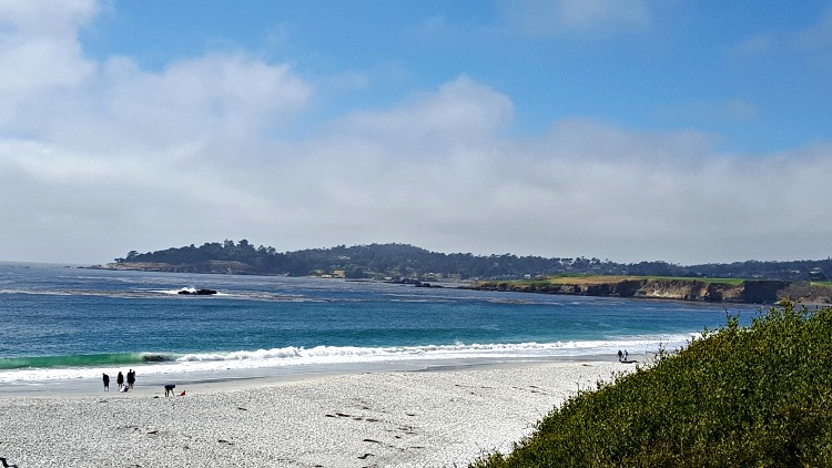 Beach in Carmel, CA