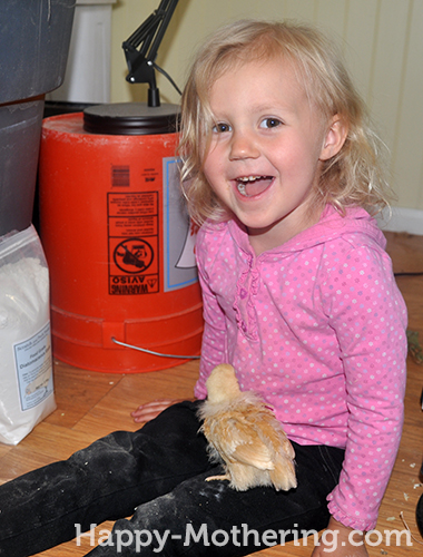 Kaylee holding a Buff Orpington chick