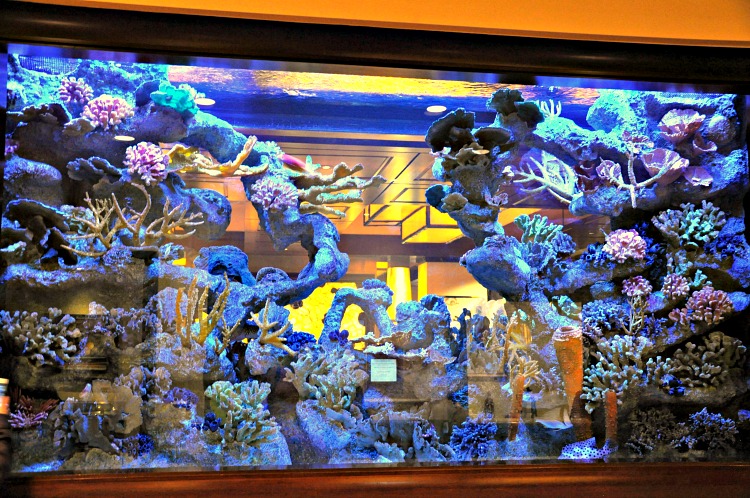 Giant aquarium wall at the Four Seasons Westlake Village