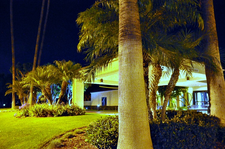 Marriott Courtyard Buena Park entryway