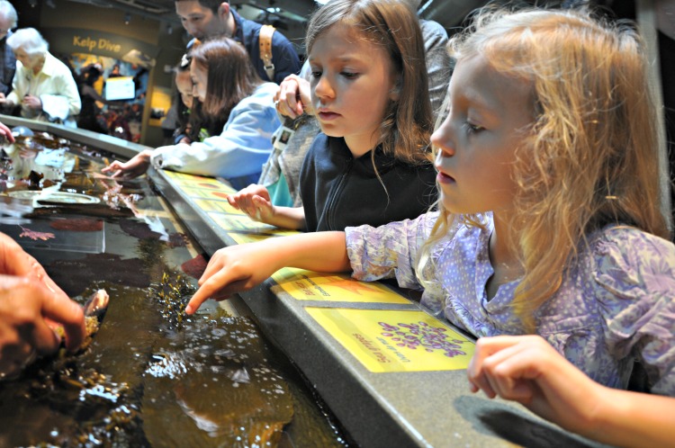 Zoë and Kaylee touching animals at the Monterey Bay Aquarium