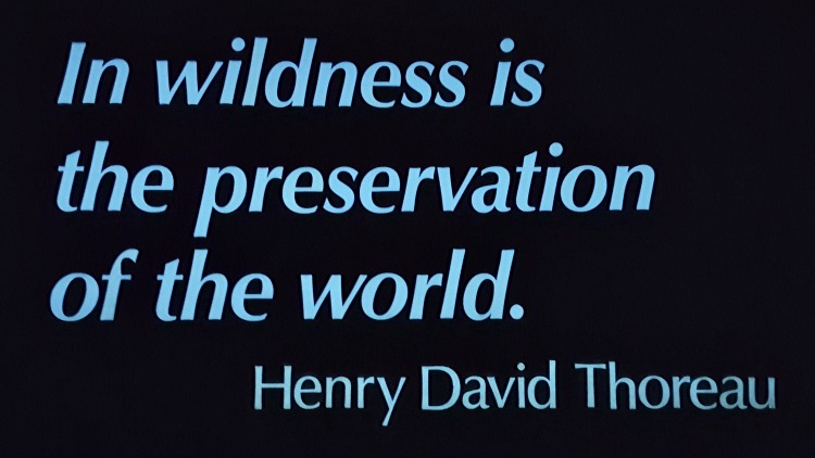 Sign that says, "In the wilderness is the preservation of the world, " by Henry David Thoreau