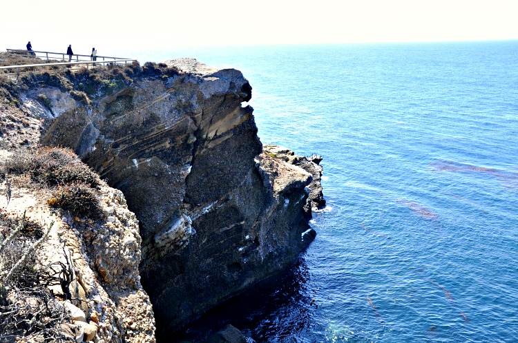 Cliff at Point Lobos State Reserve