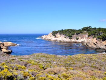 Beautiful views at Point Lobos State Reserve