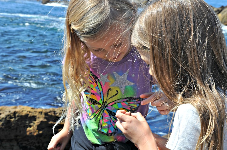 Zoë and Kaylee exploring creatures in the tidepools at Point Lobos State Reserve