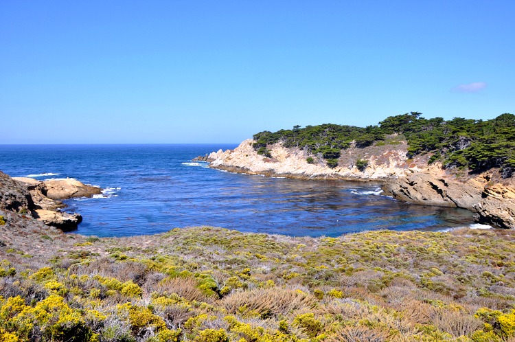 Our Family Picnic at Point Lobos State Reserve - Our Family Crushes