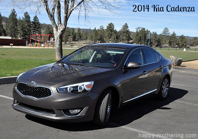 Kia Cadenza parked under a tree by the park