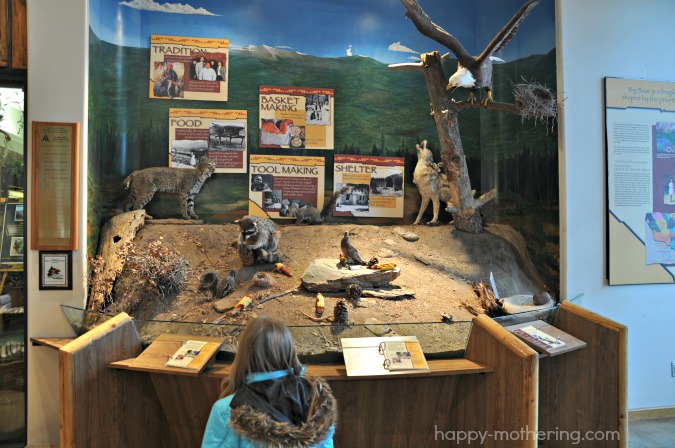 discovery-center-animals