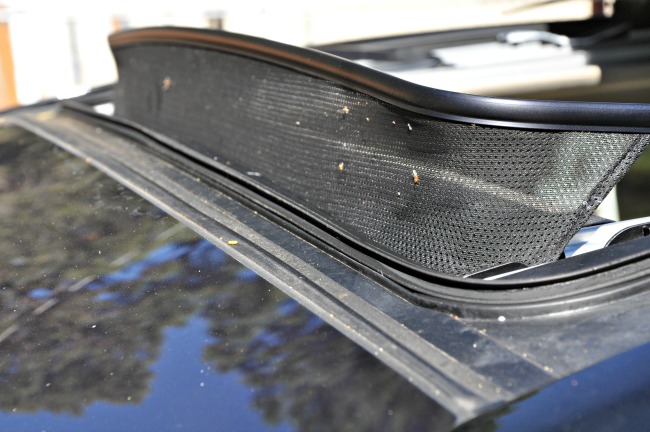 Hyundai Elantra GT sunroof from exterior