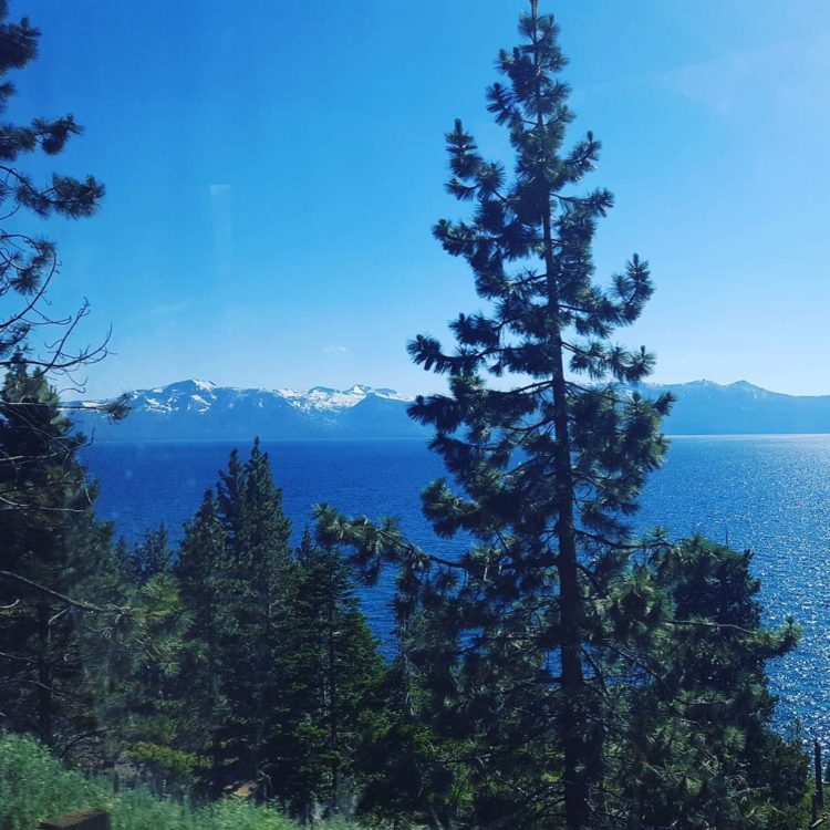 View from the bus coming into Tahoe South